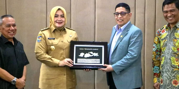 Terima Kunker Baleg DPR RI untuk Pembahasan Rancangan UU Perubahan Ketiga UU No. 18 Tahun 2017 tentang PPMI, Wagub Dae Dinda: Mampu Menekan Berbagai Permasalahan PMI